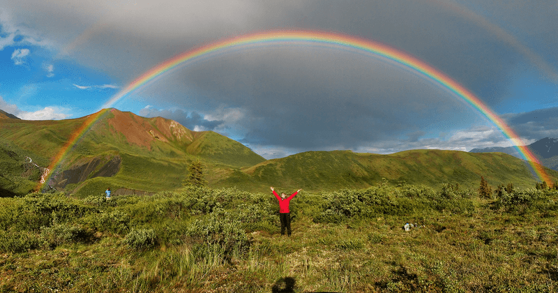 rebuilding a bespoke web application for sustainability rainbows